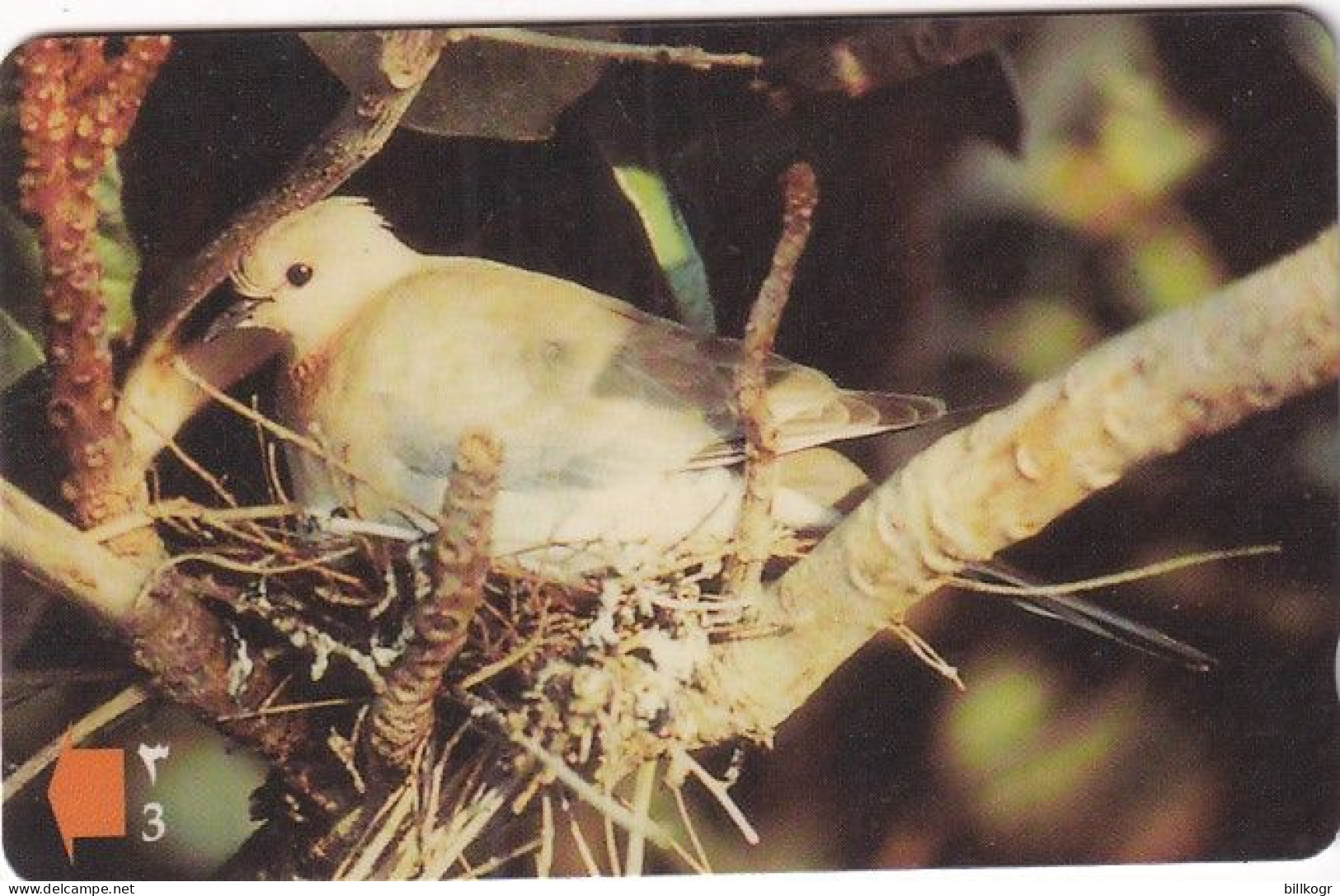 OMAN(GPT) - Bird, Palm Dove, CN : 33OMNK/B, 05/97, Used - Oman