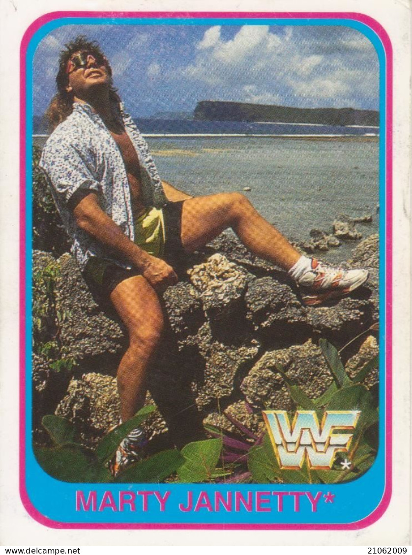 21/150 MARTY JANNETTY - WRESTLING WF 1991 MERLIN TRADING CARD - Trading-Karten