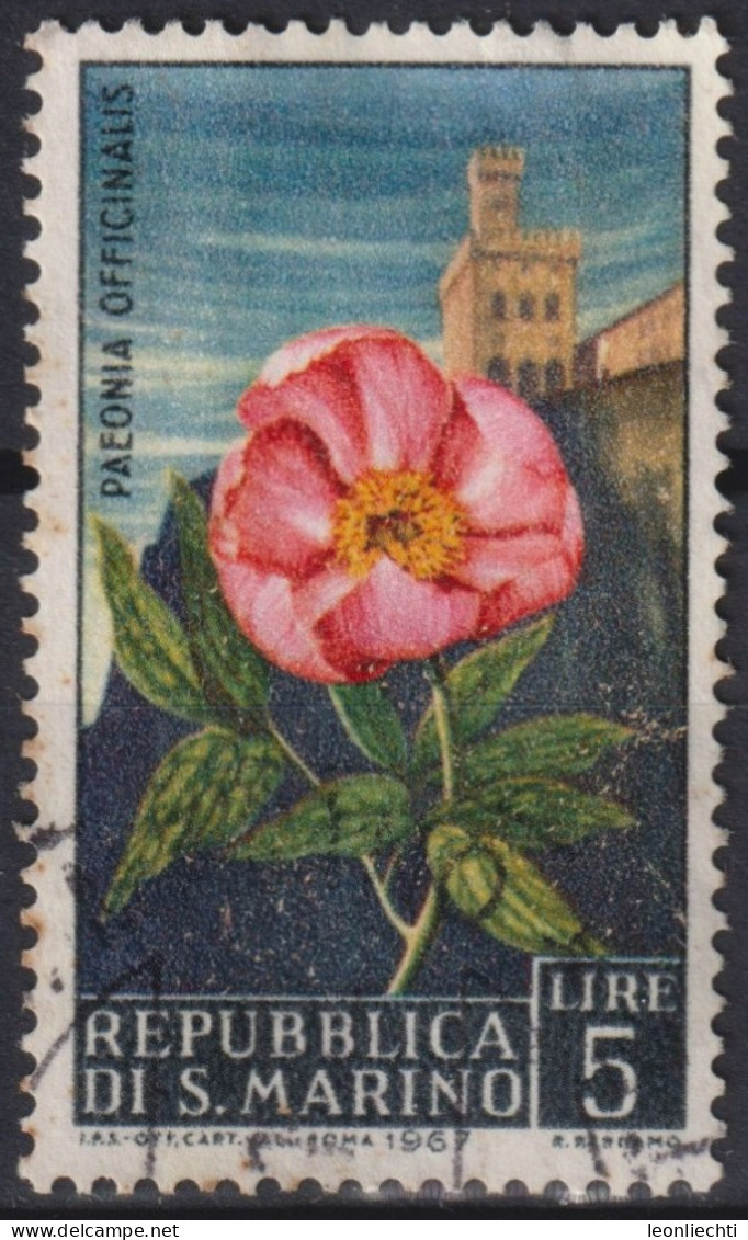 1967 San Marino ° Mi:SM 880, Sn:SM 654, Yt:SM 687, Peony (Paeonia Officinalis), Blume - Usati