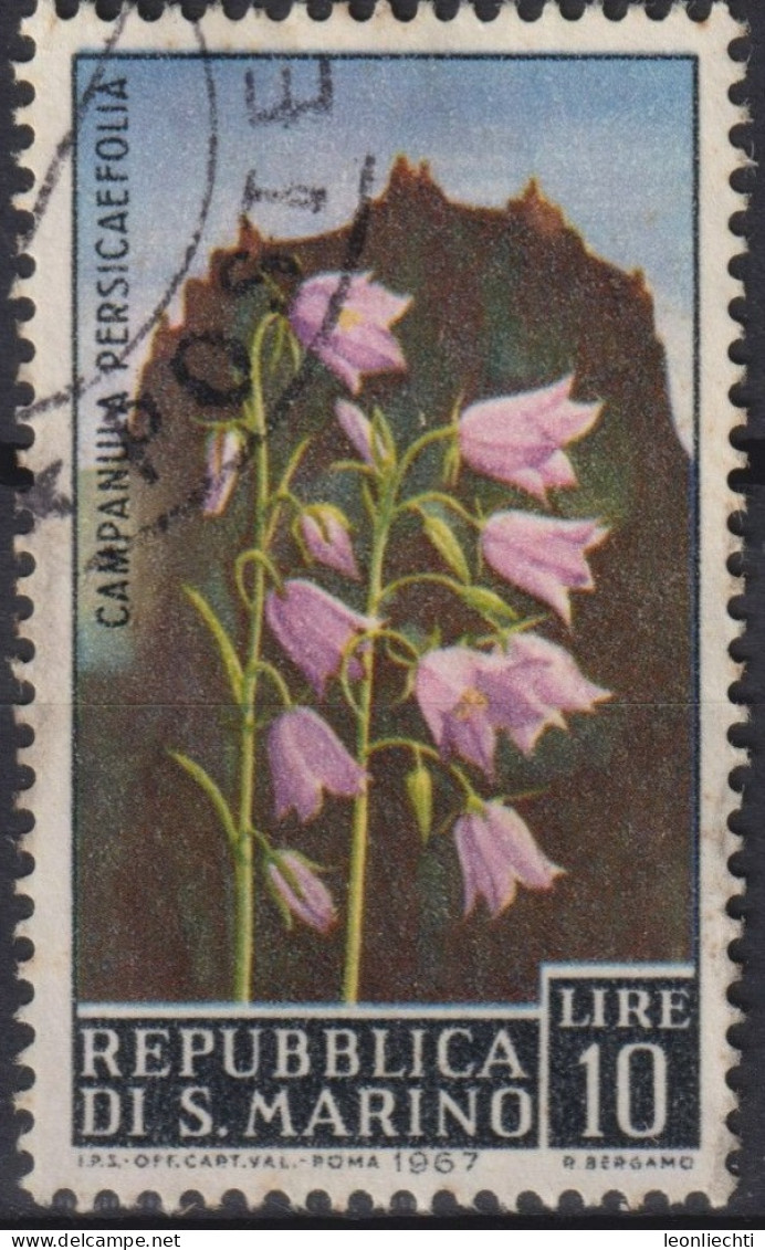 1967 San Marino ° Mi:SM 881, Sn:SM 655, Yt:SM 688, Campanula, Blume - Used Stamps