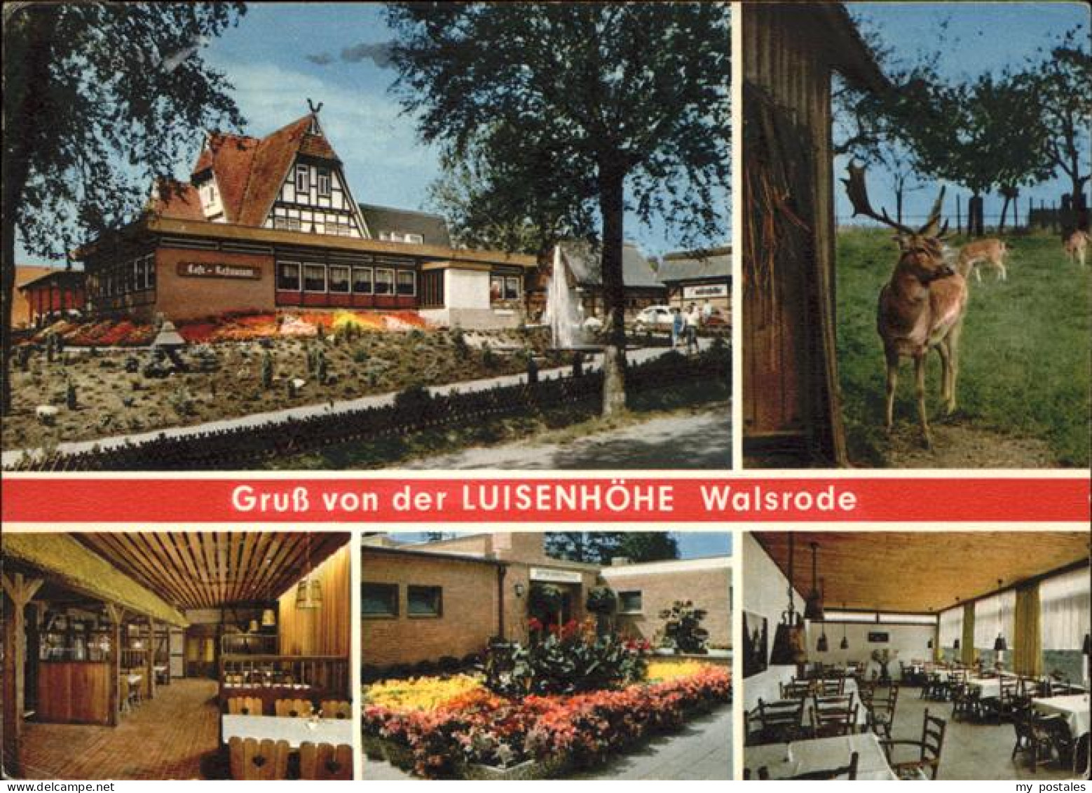 41288080 Walsrode Lueneburger Heide Restaurant Luisenhoehe Walsrode Lueneburger  - Walsrode