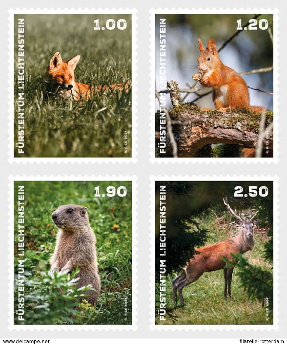 Liechtenstein - Postfris / MNH - Complete Set Wild Animals 2024 - Ongebruikt