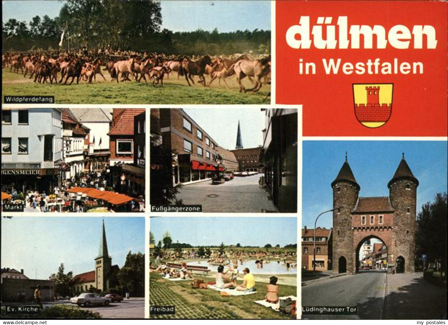 41287364 Duelmen Pferde Freibad Luedinghauser Tor Duelmen - Duelmen