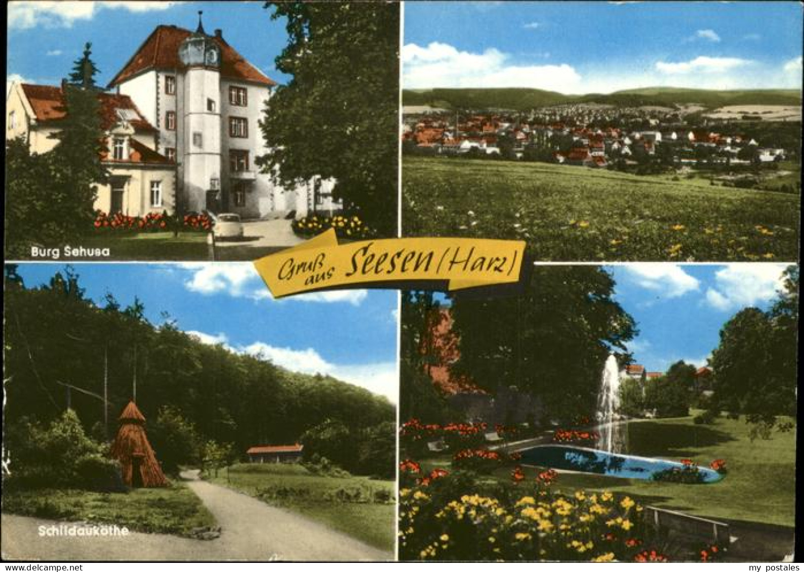 41287325 Seesen Harz Burg Sehusa Schildaukathe Seesen - Seesen