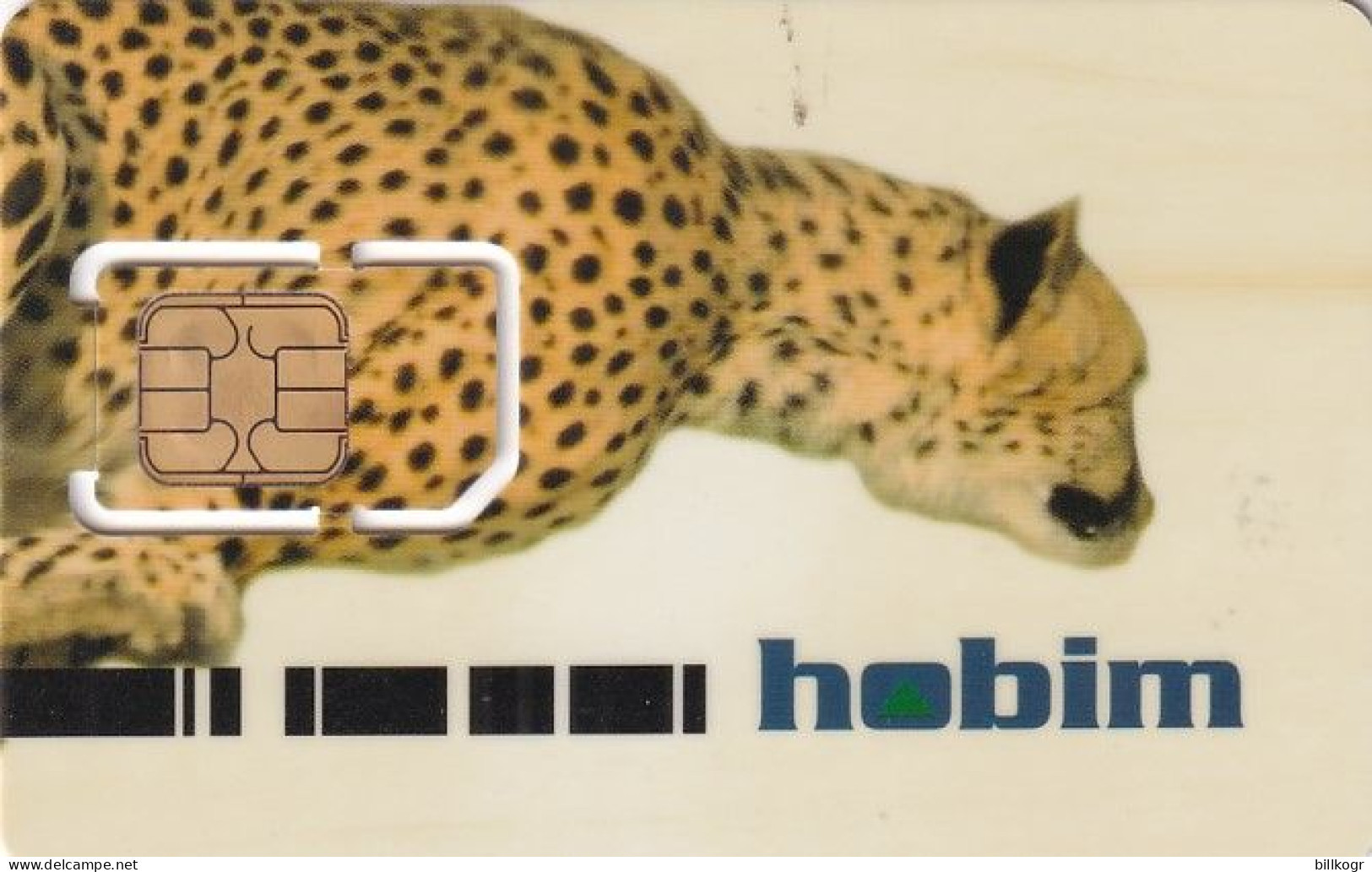 TURKEY - Leopard, HOBIM GSM Demo Card - Turchia