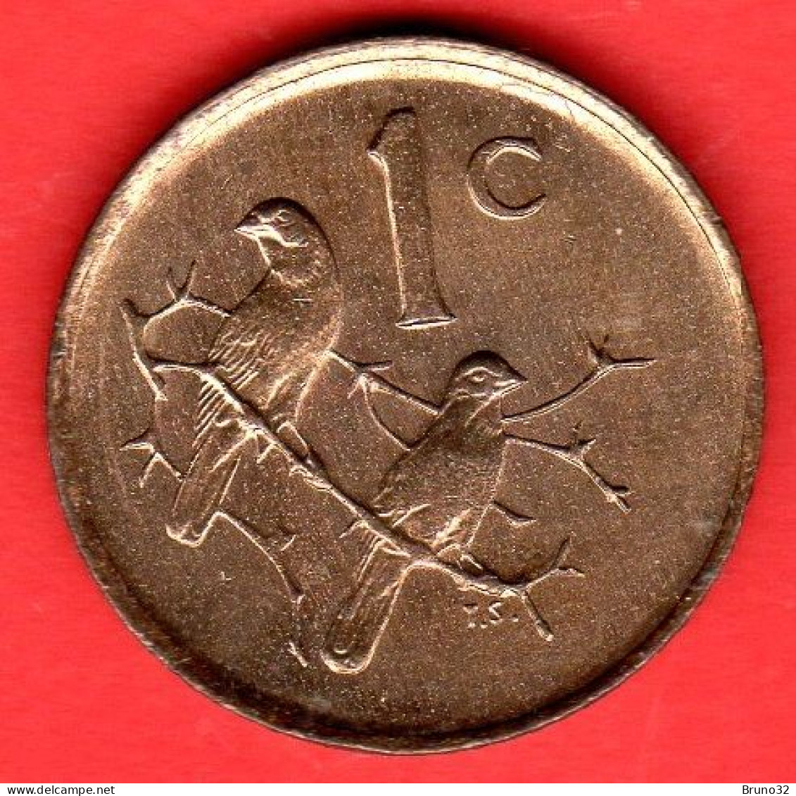 Sud Africa - South Africa - Suid Afrika - 1983 - 1 Cent - QFDC/aUNC - Come Da Foto - South Africa