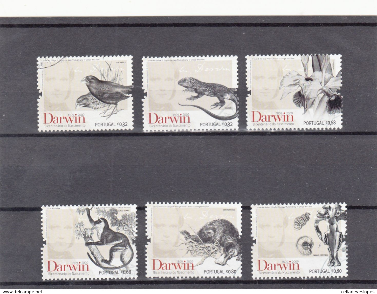 Portugal, Charles Darwin, 2009, Mundifil Nº 3803 A 3808 Used - Gebraucht
