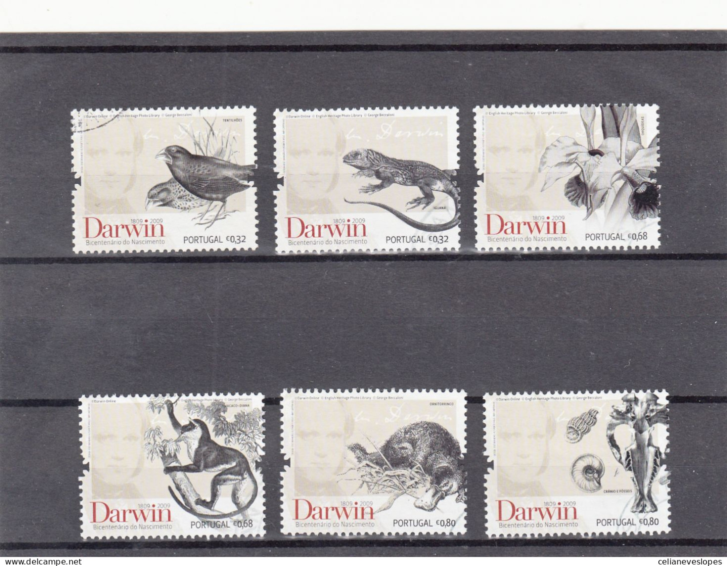 Portugal, Charles Darwin, 2009, Mundifil Nº 3803 A 3808 Used - Oblitérés