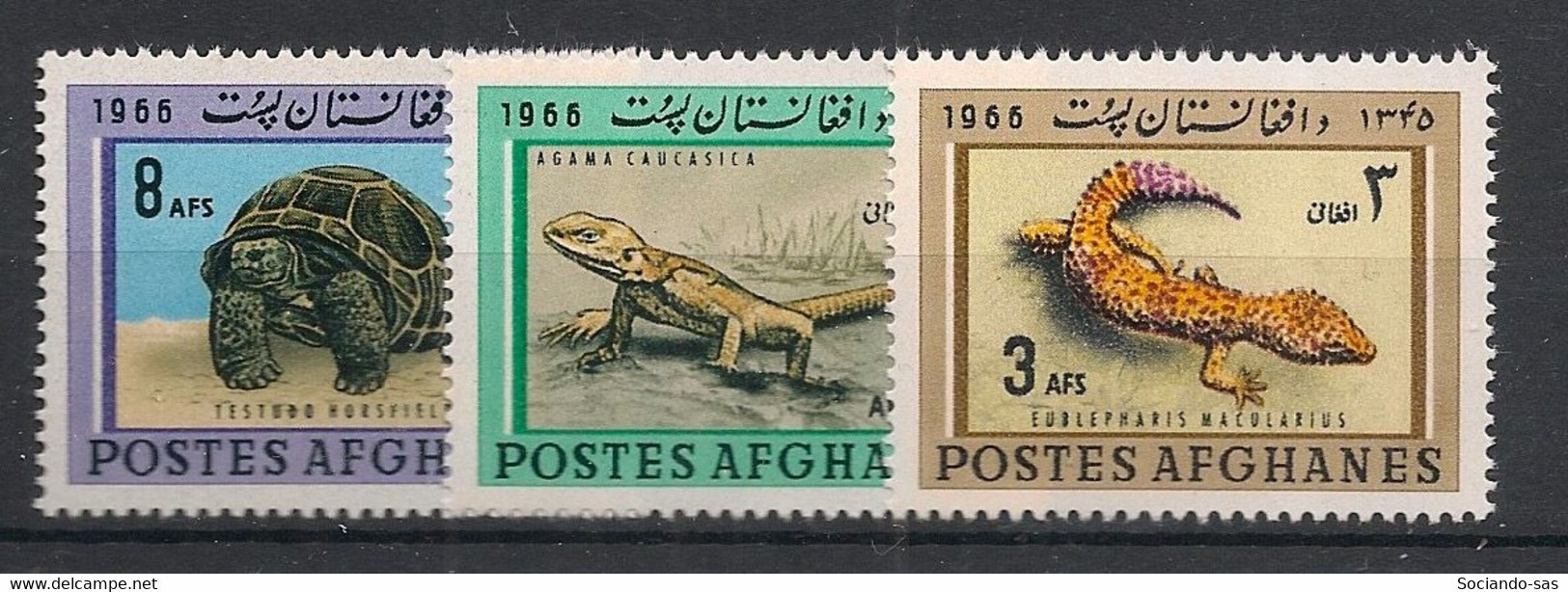 AFGHANISTAN - 1966 - N° YT. 804 à 806 - Reptiles - Neuf Luxe ** / MNH / Postfrisch - Afghanistan