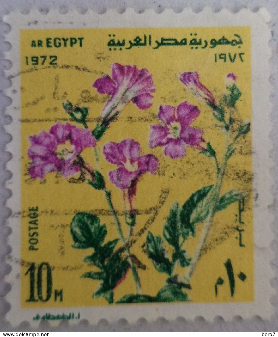 EGYPT  UAR - 1972 Flowers [USED] (Egypte) (Egitto) (Ägypten) (Egipto) (Egypten) - Usati