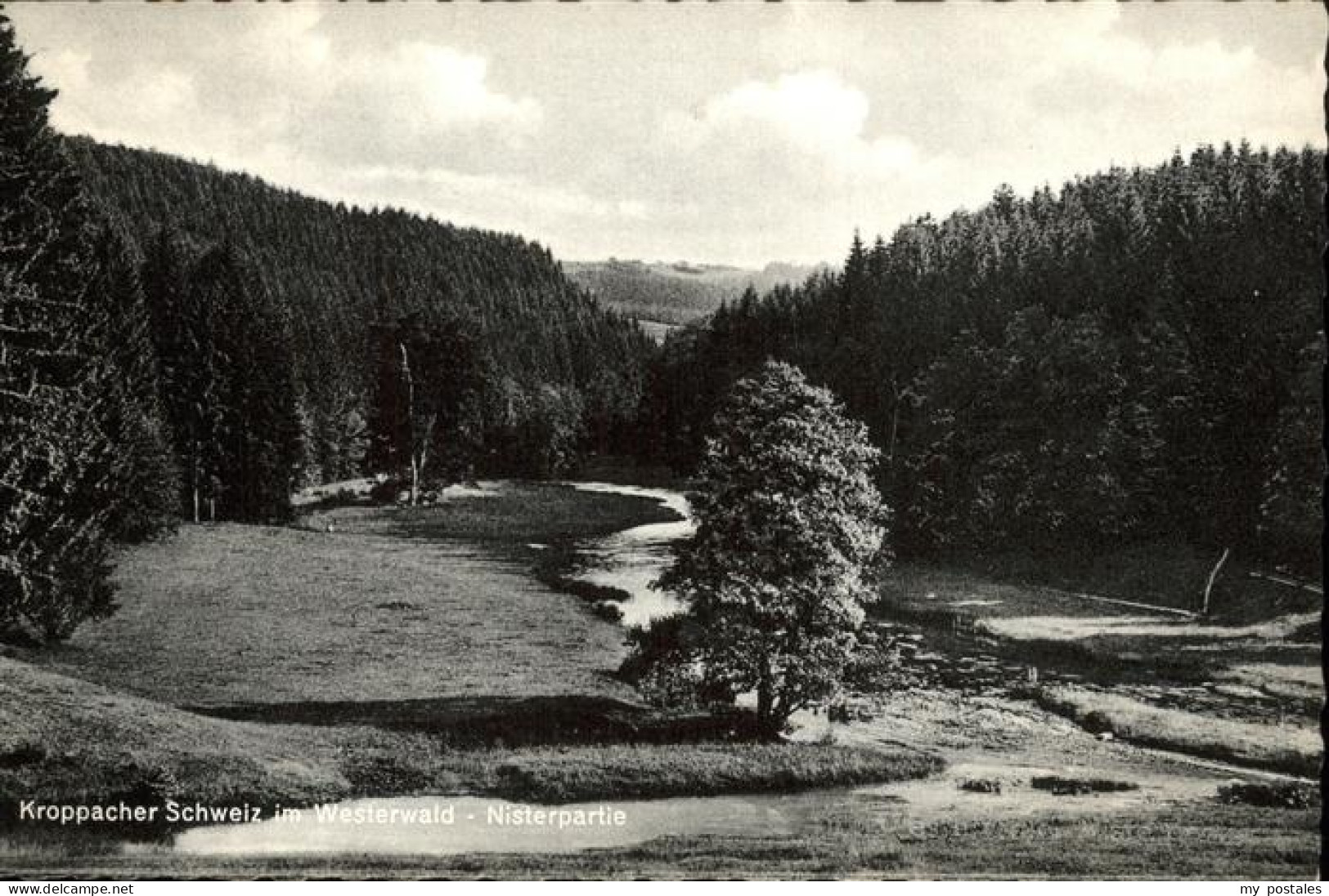 41282551 Hachenburg Westerwald Kroppacher Schweiz Nister Hachenburg - Hachenburg