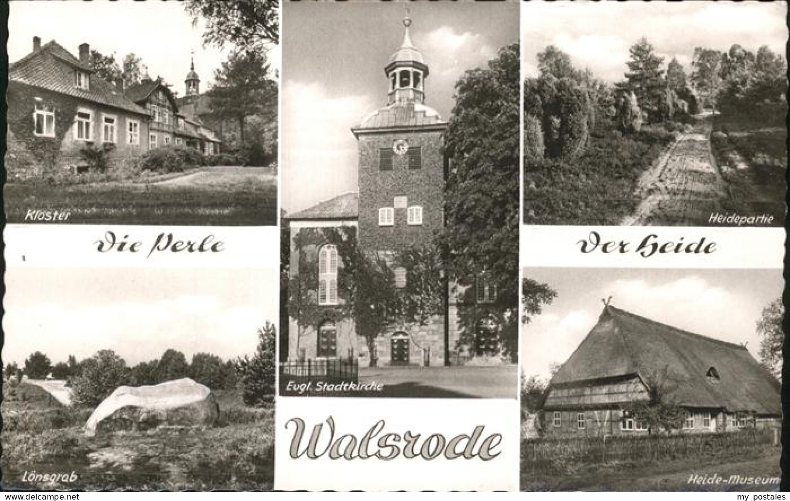41281841 Walsrode Lueneburger Heide Heidepartie Heide Museum Kloster Loensgrab A - Walsrode