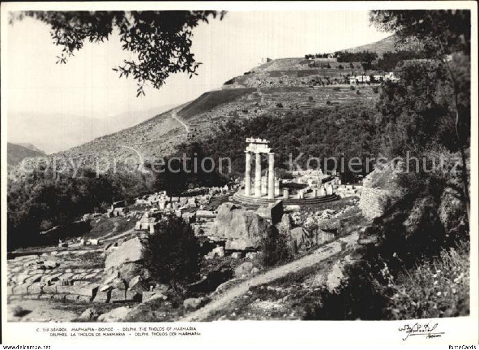 72593798 Delphi Tholos Der Marmaria - Altri & Non Classificati