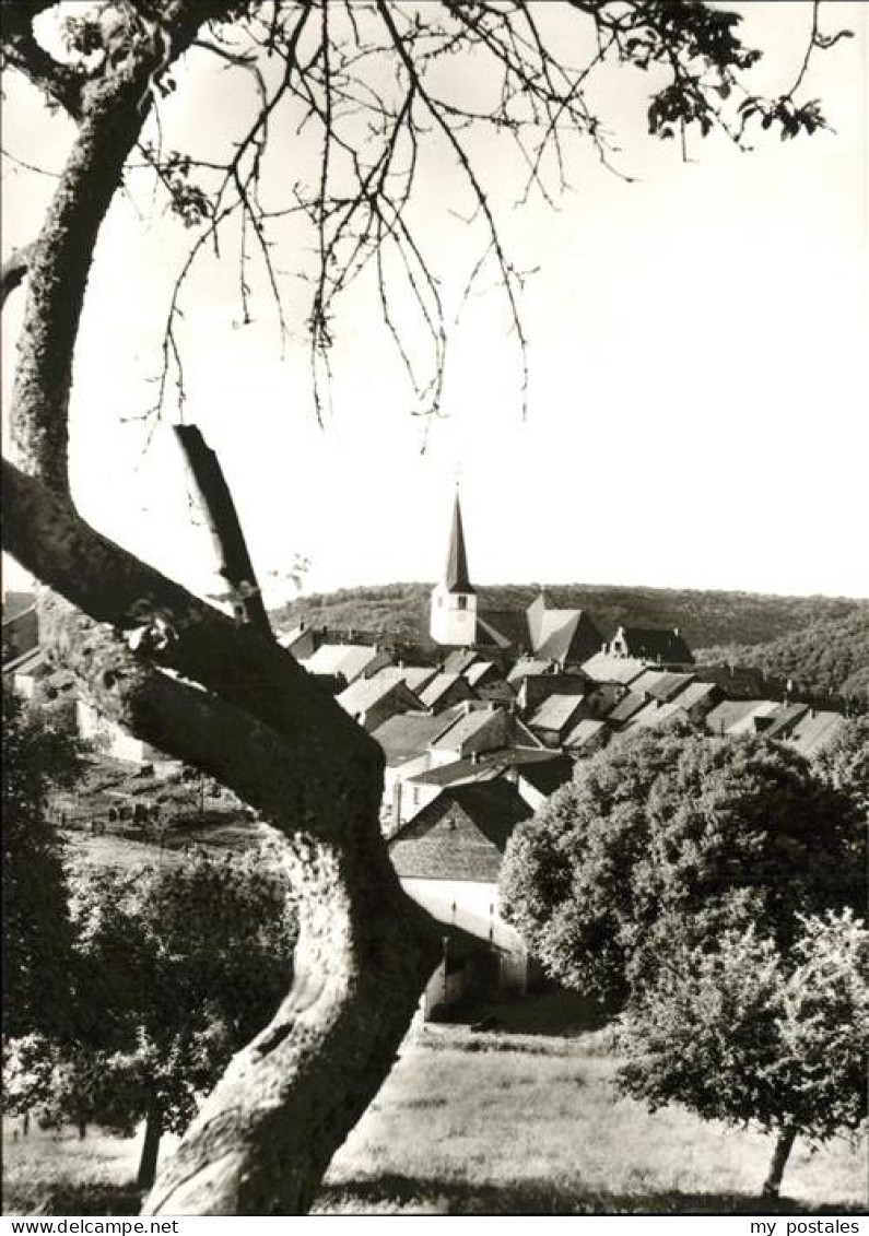 41278834 Manderscheid Eifel Lebensbaumkirche Manderscheid - Manderscheid