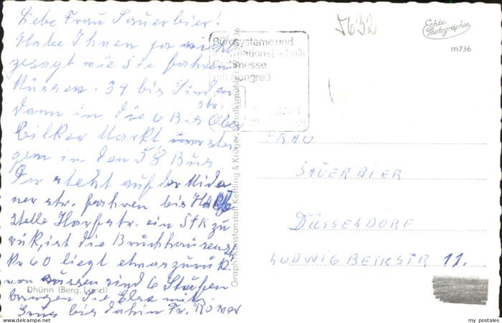 41278304 Dhuenn Wermelskirchen Weide Kuehe Wermelskirchen - Wermelskirchen