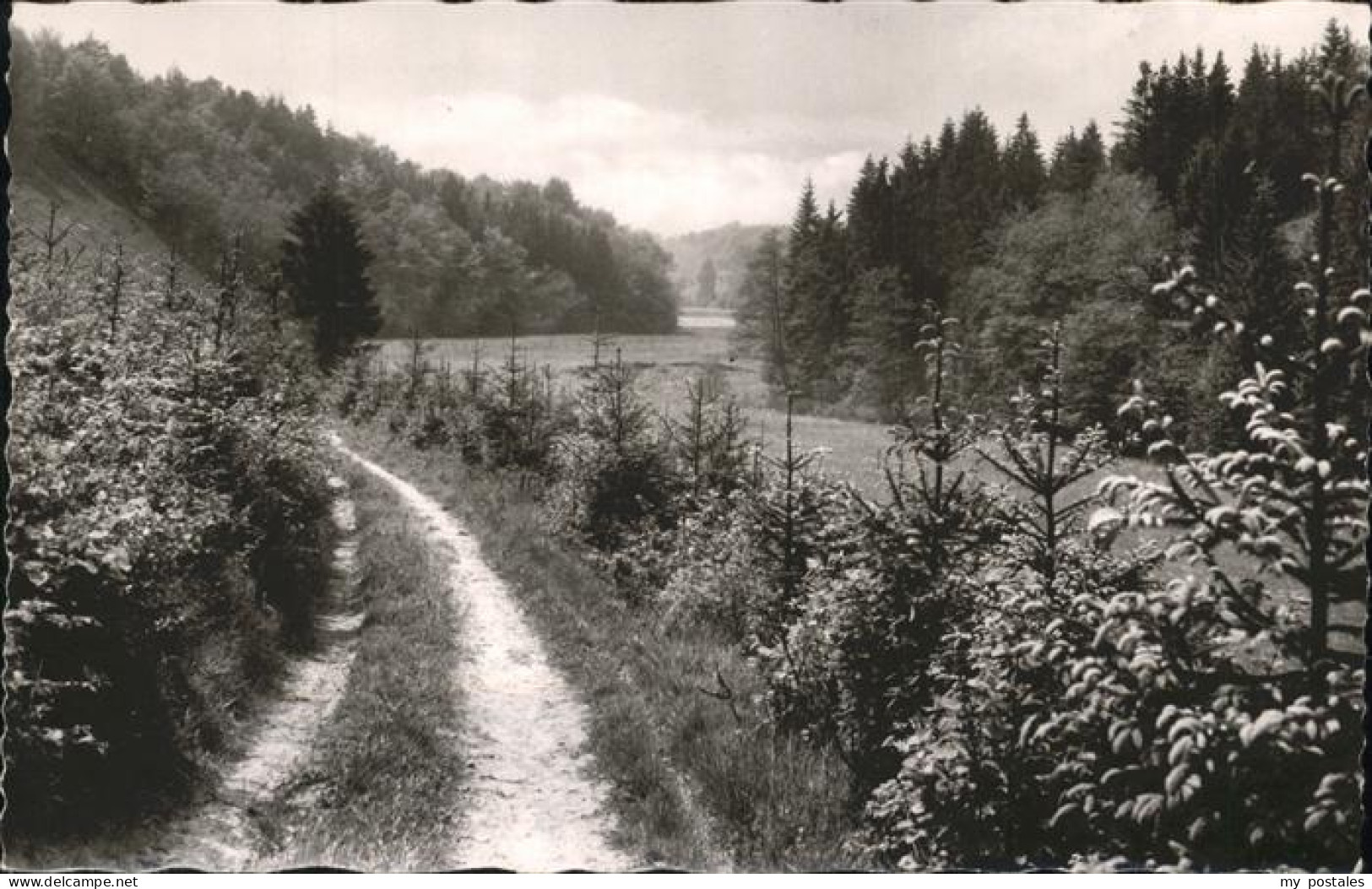 41278163 Dhuenn Wermelskirchen Wanderweg Dhuenntal Wermelskirchen - Wermelskirchen