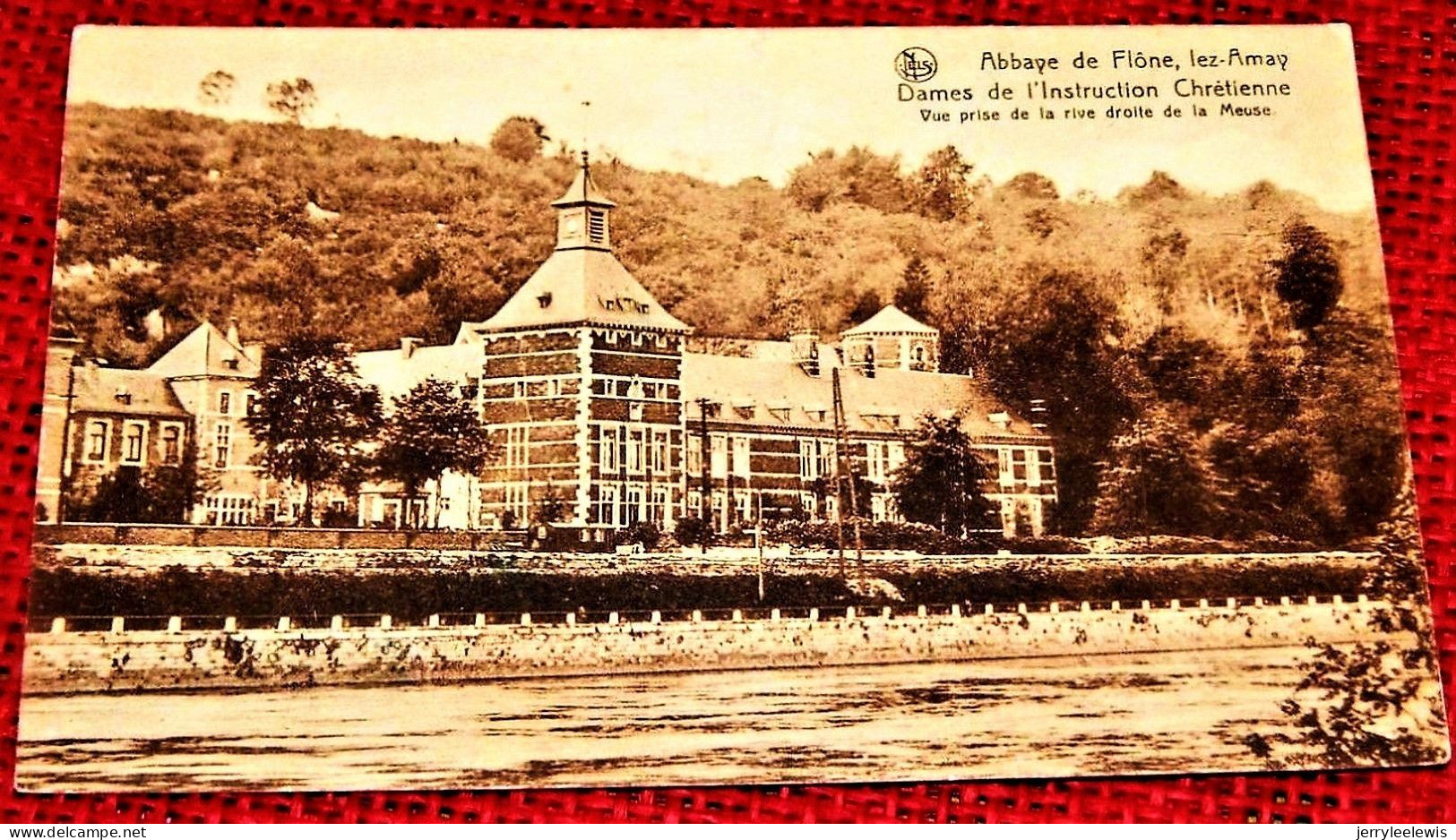 AMAY  -  Abbaye De Flône Lez Amay  - Dames De L'Instruction Chrétienne - Vue Prise De La Rive Droite De La Meuse - Amay