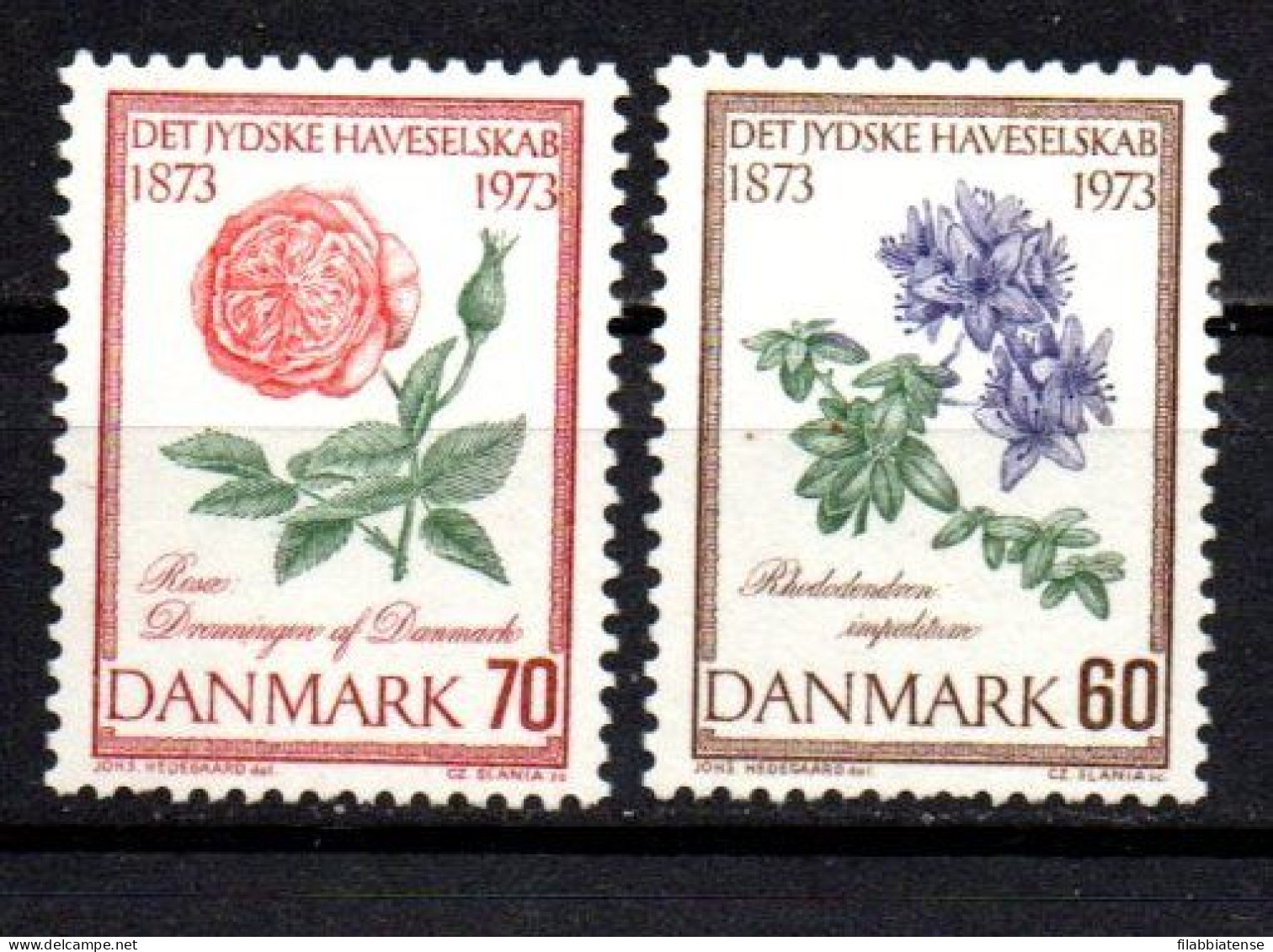 1973 - Danimarca 552/53 Fiori     ------ - Unused Stamps
