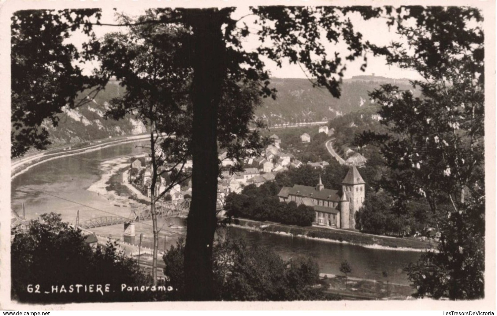 BELGIQUE - Hastière - Panorama - Carte Postale Ancienne - Hastiere