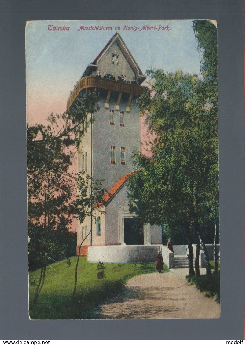 CPA - Allemagne - Taucha - Aussichtsturm Im König-Albert-Park - Colorisée - Circulée - Taucha
