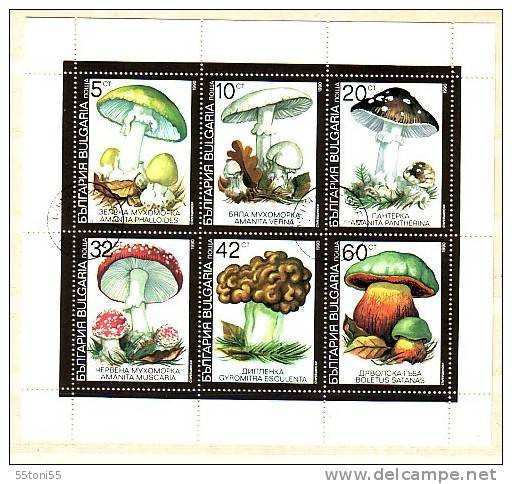 1991  Champignons Veneneux  Petite Feuille –S/M - Oblitere /used (O) BULGARIE / Bulgaria - Gebruikt