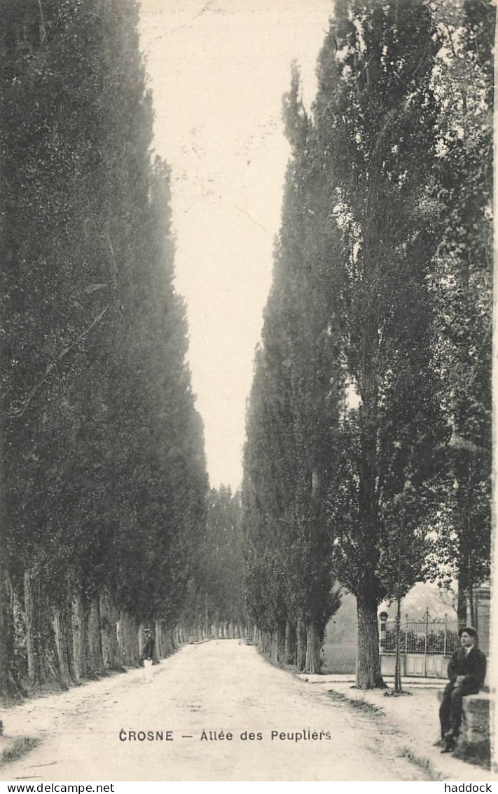 CROSNE : ALLEE DES PEUPLIERS - Crosnes (Crosne)