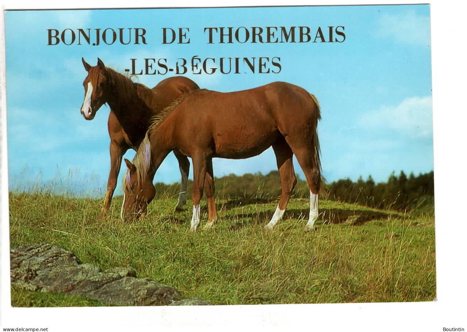 Thorembais Les Béguines Bonjour De ( Chevaux ) - Perwez