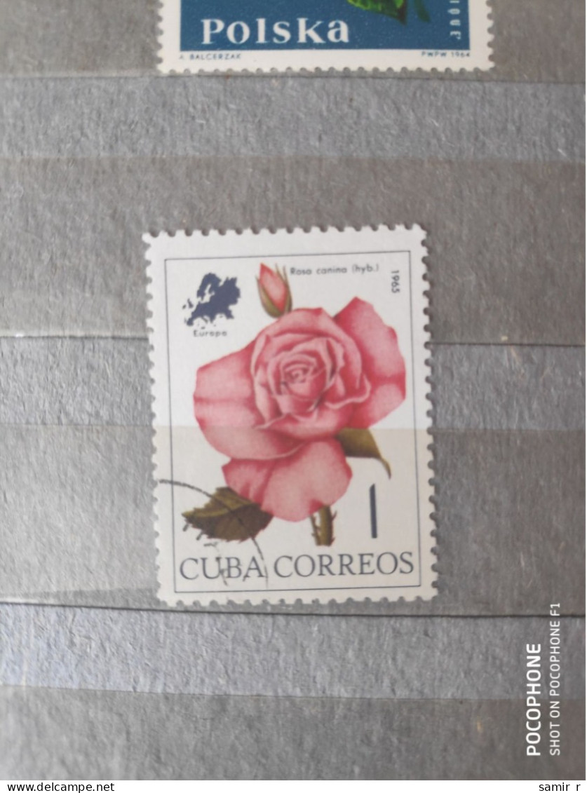 1965 Cuba Roses  (F81) - Used Stamps