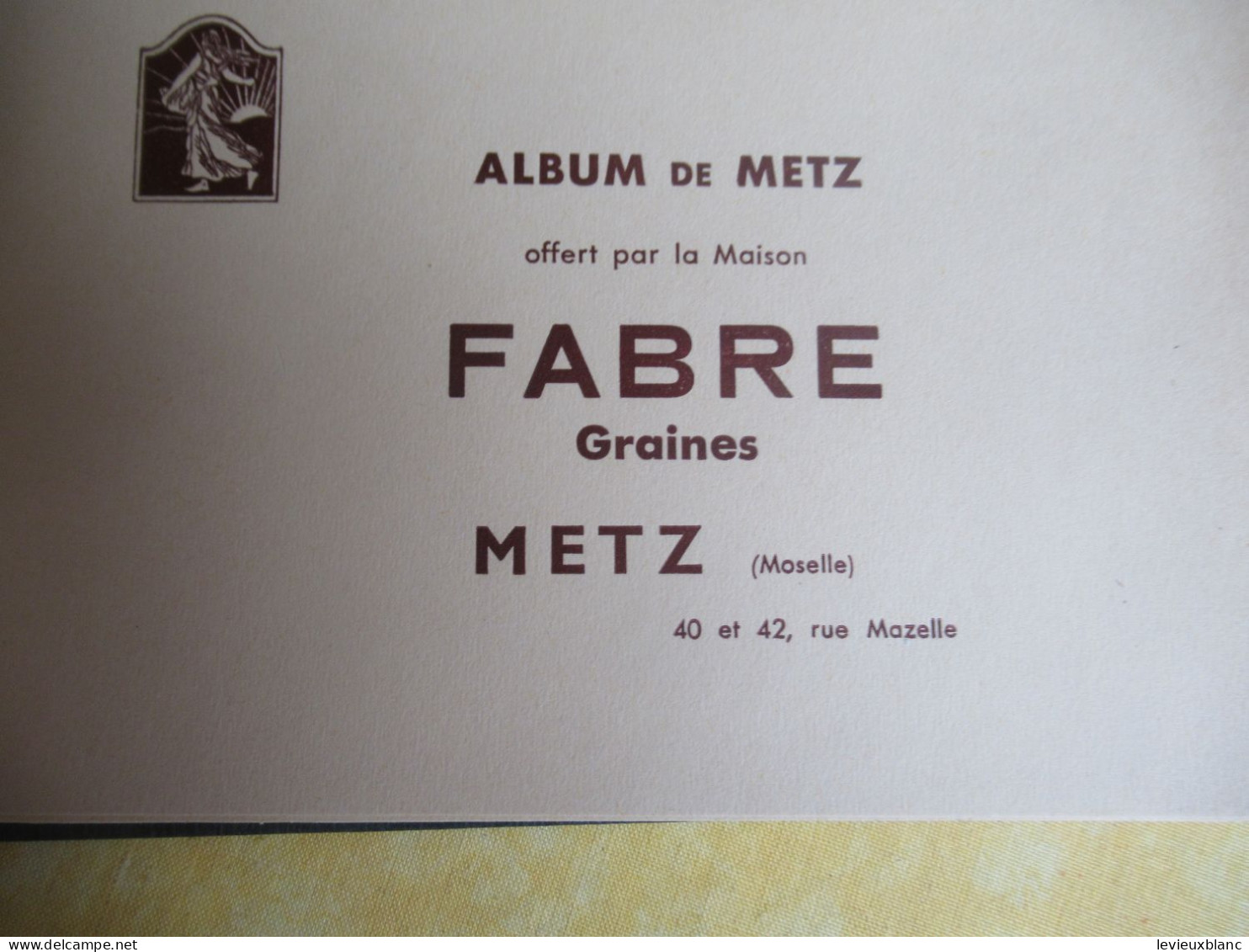 Carnet Souvenir 17 Vues De METZ/offert Par La Maison FABRE/grainetier/METZ (Moselle) /rue Mazelle/vers  1920-30   PGC552 - Dépliants Touristiques