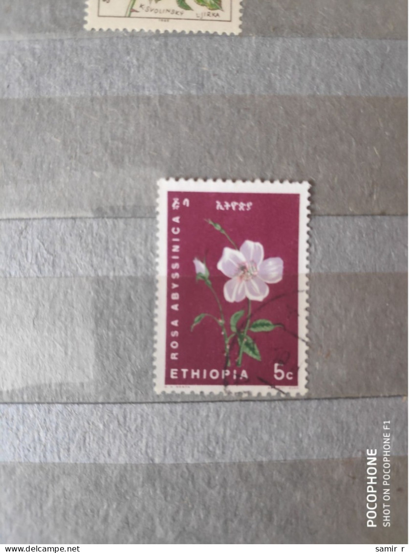 Ethiopia Roses   (F81) - Etiopia