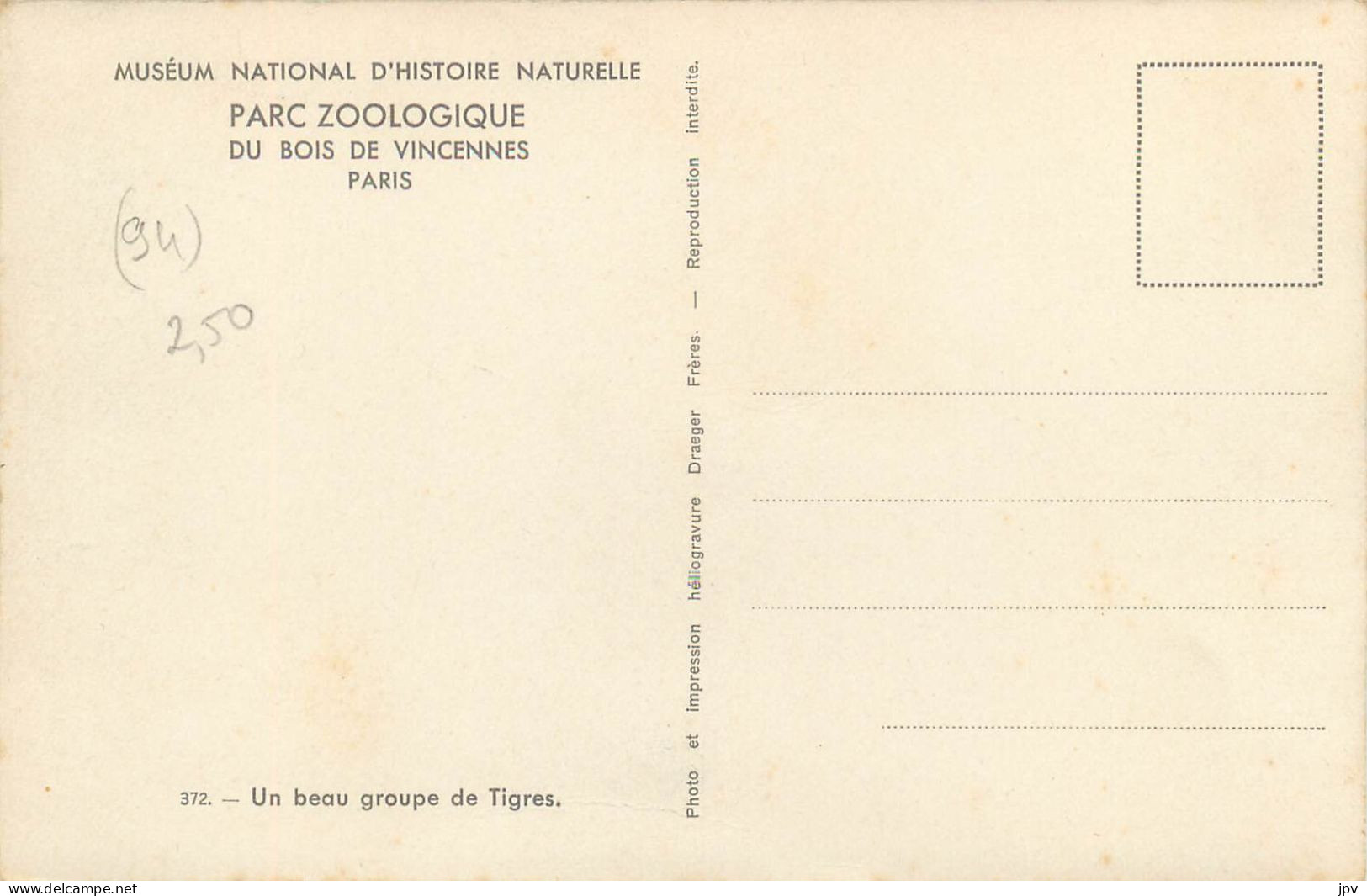 PARC ZOOLOGIQUE DU BOIS DE VINCENNES. PARIS. MUSEUM NATIONAL D'HISTOIRE NATURELLE. TIGRES . - Nijlpaarden