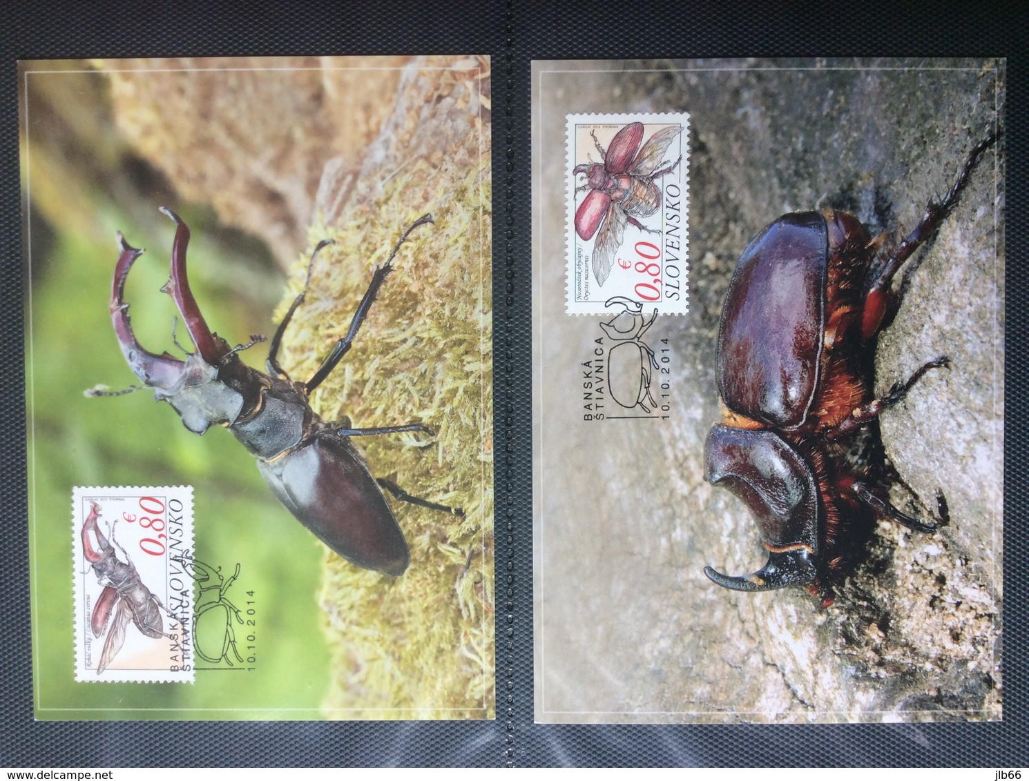 2 Carte Maximum 2014 Insectes Lucane Cerf-volant Scarabée - FDC