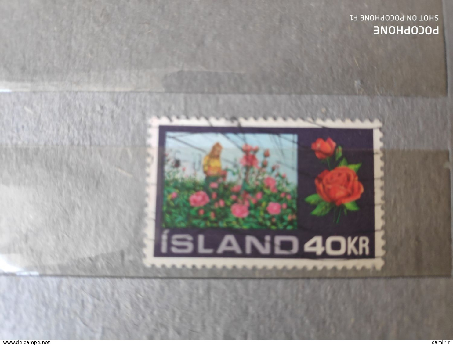 Iseland Flowers  (F81) - Usati