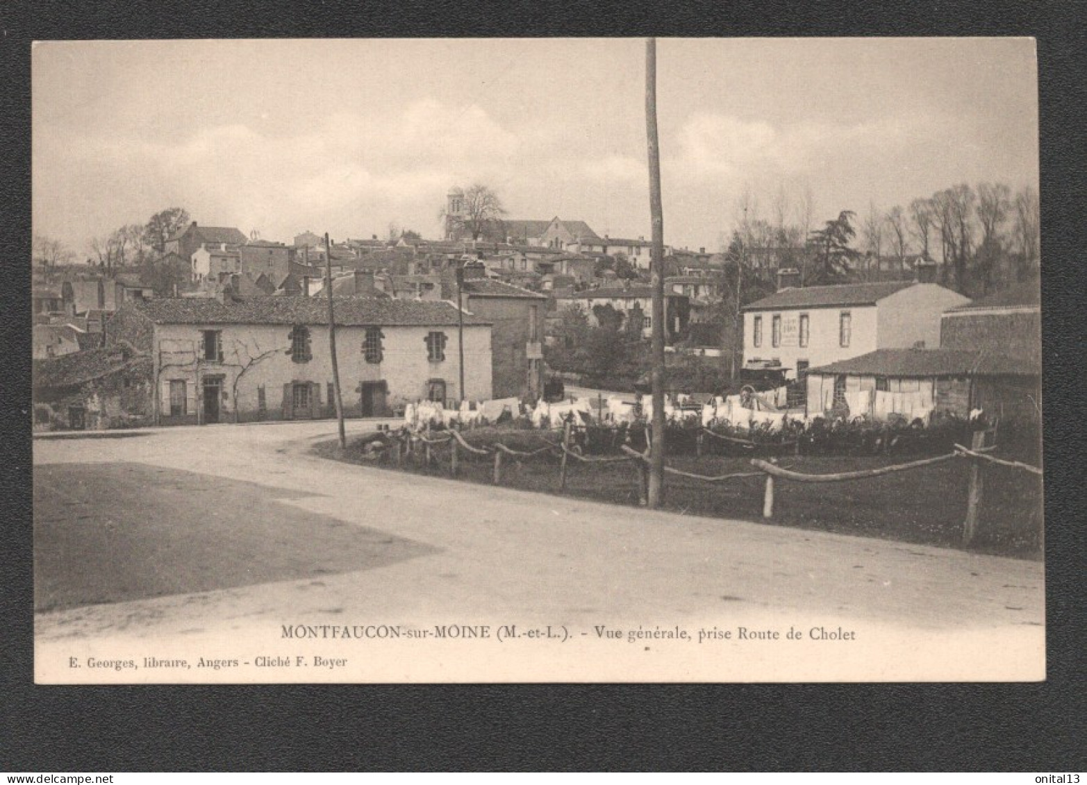 MONTFAUCON  VUE GENERALE PRISE ROUTE DE CHOLET  D3229 - Montfaucon