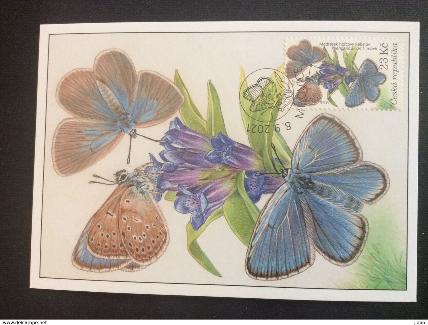 2021 Carte Maximum  Nature Réserve De Milovice  Papillon Alcon Butterfly Phengaris Alcon Rebeli - Other & Unclassified