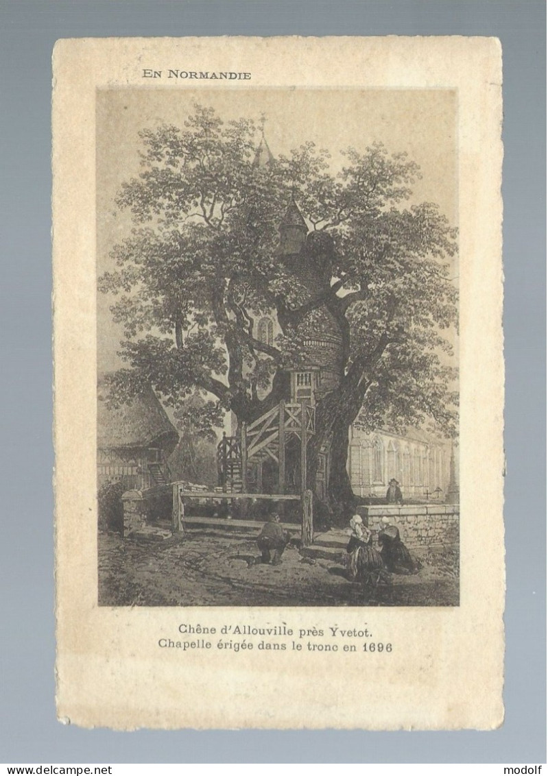 CPA - 76 - Chêne D'Allouville Près Yvetot - Chapelle érigée Dans Le Tronc En 1696 (gravure) - Non Circulée - Allouville-Bellefosse