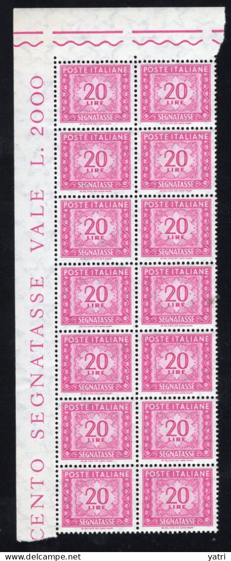 Italia (1962) - Segnatasse, 20 Lire Fil. Stelle 4° Tipo, Gomma Vinilica, Sass. 114/II ** - Taxe