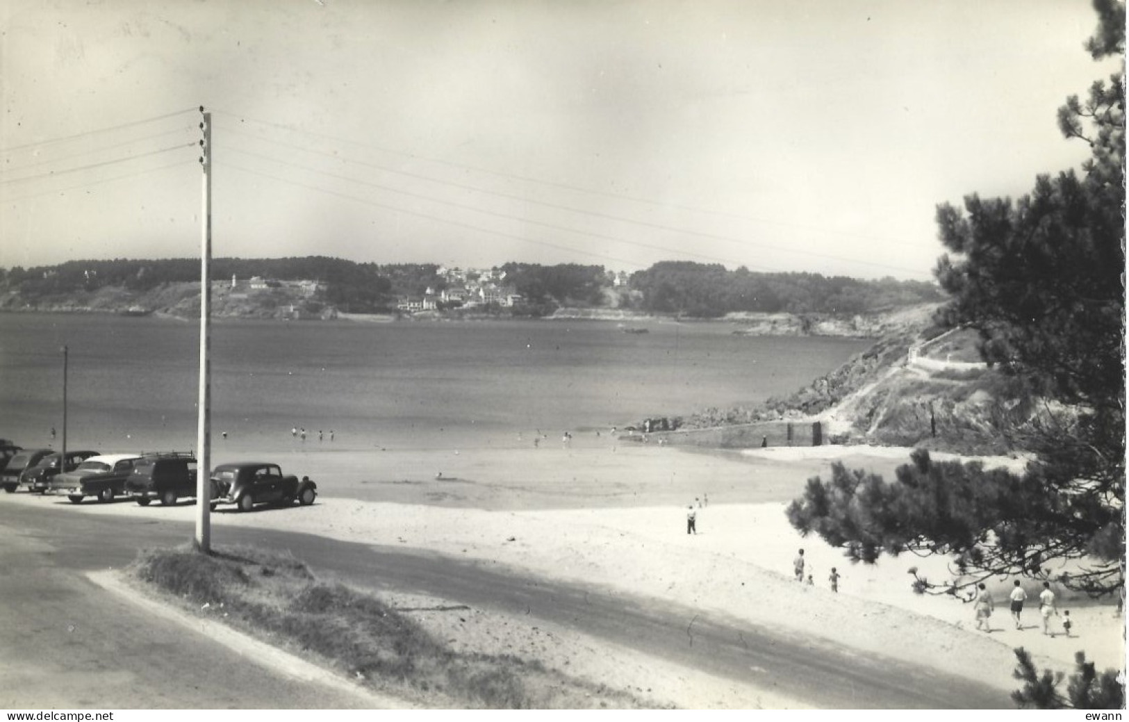 Carte Postale - Moëlan-sur-Mer - La Plage De Kerfany (voitures) - Moëlan-sur-Mer