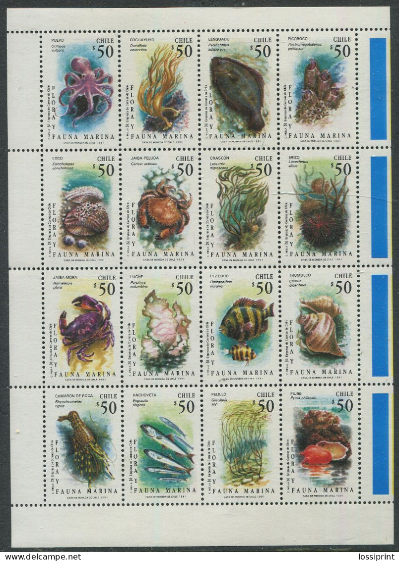 Chile:Unused Sheet Fishes, Octopussy, Crabs, Sea Shells, 1991, MNH - Crustacés