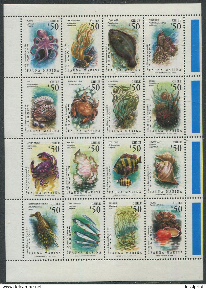 Chile:Unused Sheet Fishes, Octopussy, Crabs, Sea Shells, 1991, MNH - Crustaceans
