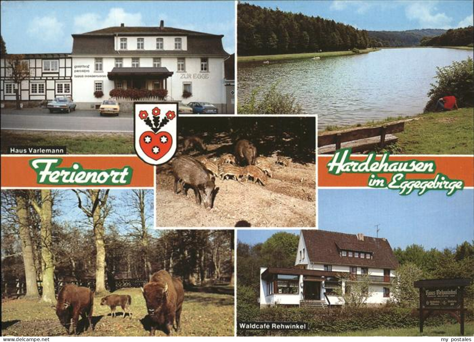 41276244 Hardehausen Wappen Wildschweine Bison Haus Verlemann Waldcafe Rehwinkel - Warburg