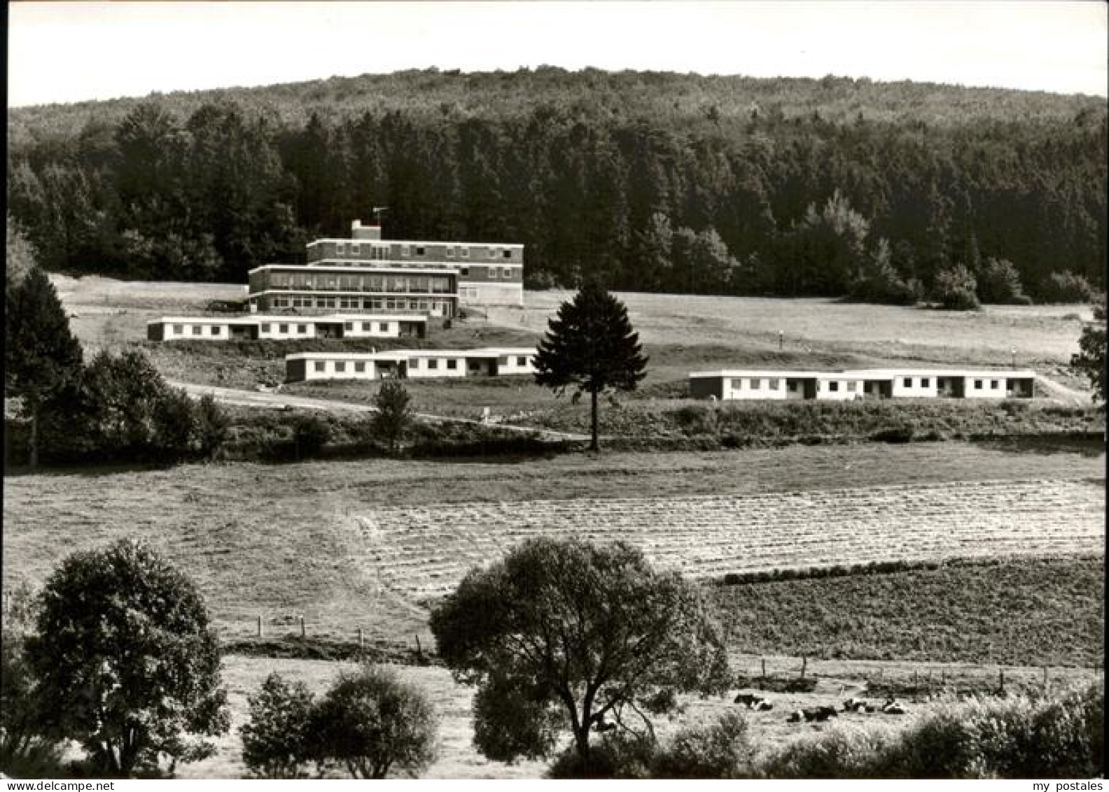 41276148 Emstal Feriendorf Habichtshof Kloster Lehnin - Lehnin