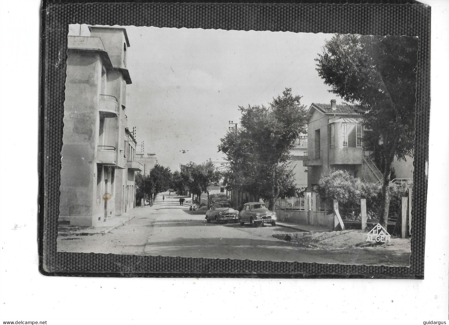 Afrique -Algerie-GUELMA- Une Vue Animée De La Rue  Louis PANISSE - Guelma