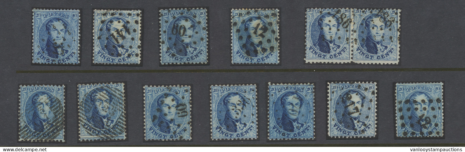 N° 15 20c. Blauw, 1 Paar En 11 Individuele Zegels, Plaatmateriaal, Ntz - 1863-1864 Medaillen (13/16)