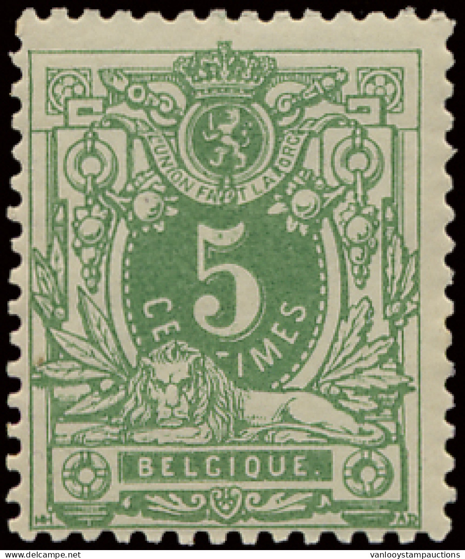 ** N° 45 5c. Groen, Zm (OBP €245) - 1869-1888 Lion Couché