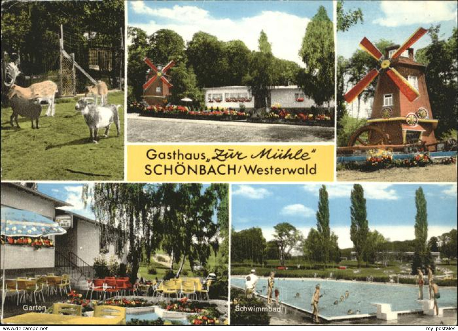 41273652 Schoenbach Dillkreis Gasthaus Zur Muehle Tiergehege Muehle Schwimmbad S - Herborn