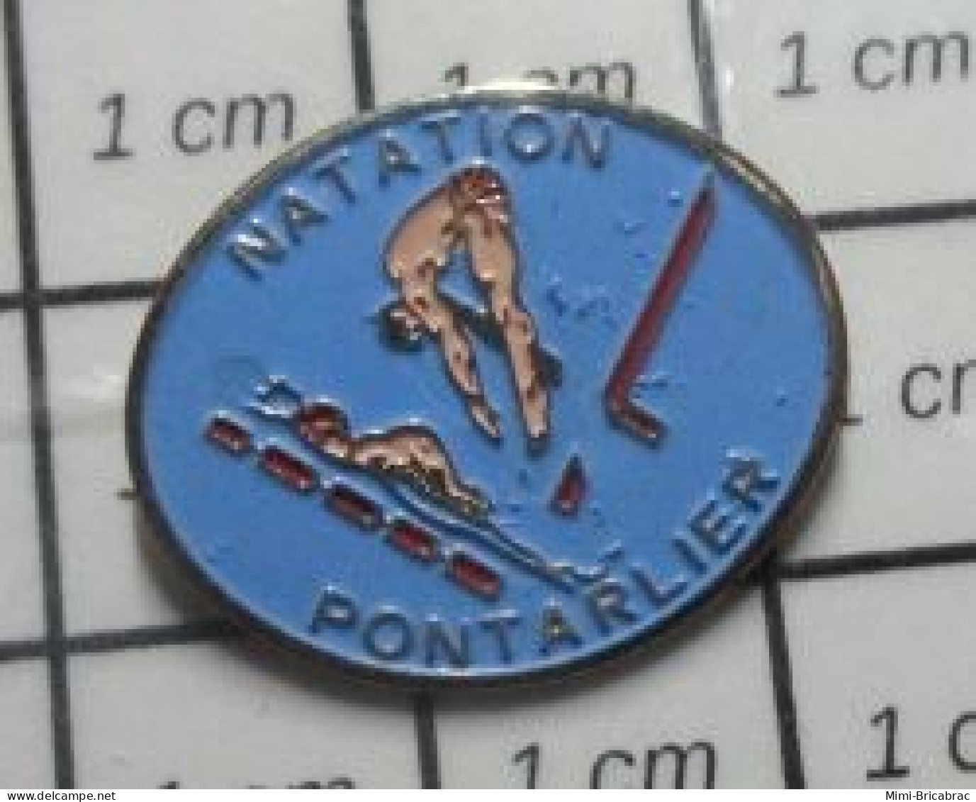 413B Pin's Pins / Beau Et Rare / THEME : SPORTS / NATATION PONTARLIER PLONGEON - Swimming
