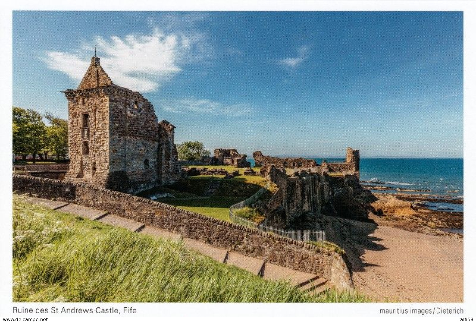 1 AK Schottland * St Andrews Castle - Eine Burgruine In Der Küstenstadt St Andrews In Der Grafschaft Fife * - Fife