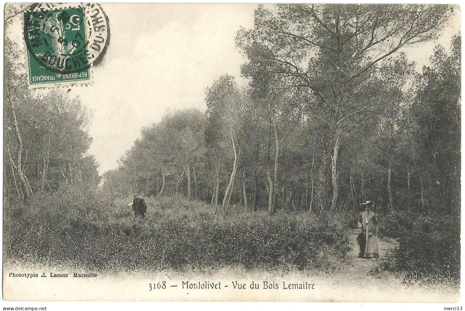 MONTOLIVET (13) – Vue Du Bois Lemaître. Editeur Lacour, N° 3168. - Saint Barnabé, Saint Julien, Montolivet