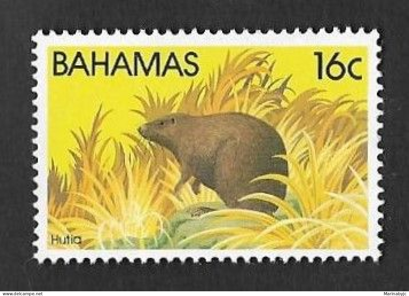 SD)1982 BAHAMAS FAUNA, BAHAMEÑO AGUTÍ, MNH - Bahamas (1973-...)